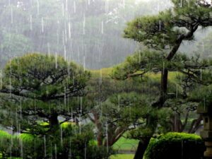 梅雨の時期でも外壁塗装はできる?